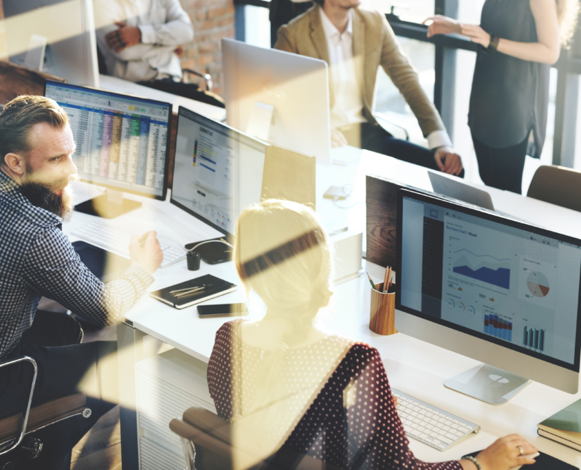 People reviewing graphs in business software